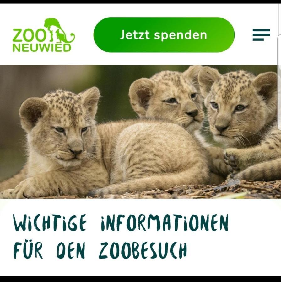 Fewo Mit Terasse Neuwied & Koblenz Exterior foto